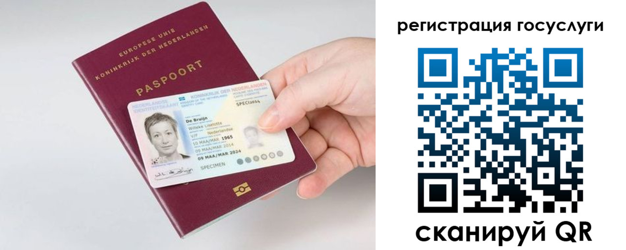 регистрация для дет. сада в Купино